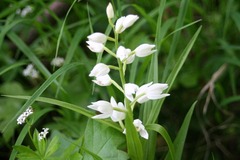 Killikus&reg; Fotographie